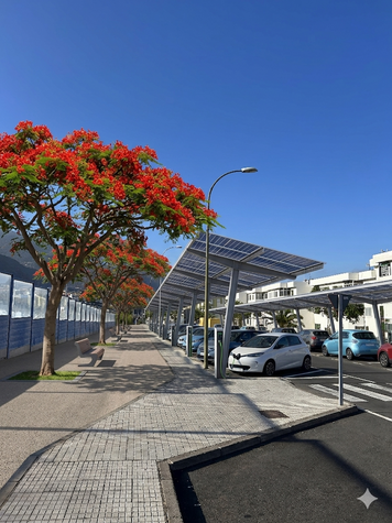 Paseo arbolado