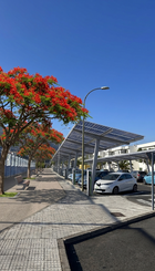 Paseo arbolado
